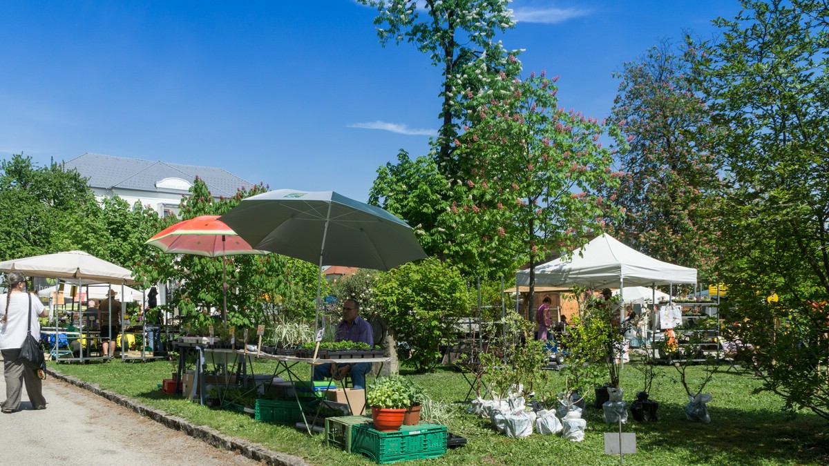 O Fotomagazin / 12. Pregartner Pflanzl- & Gartenkirtag
